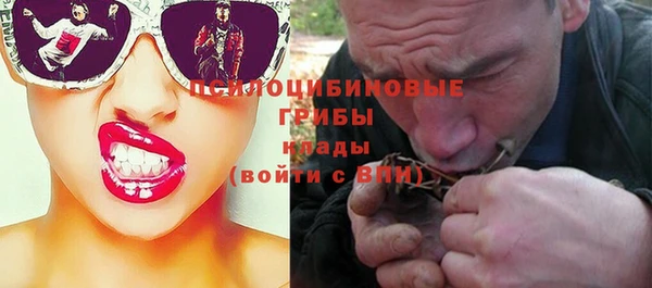 прущие грибы Переславль-Залесский