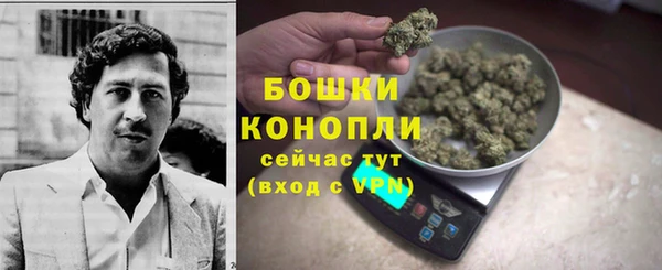 ECSTASY Пестово