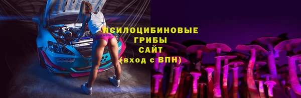 прущие грибы Переславль-Залесский