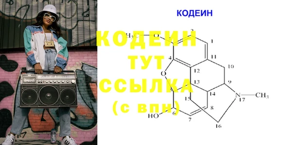 молекула духа Пересвет
