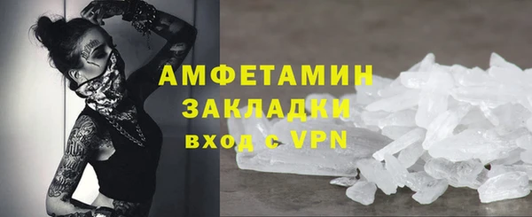 молекула духа Пересвет