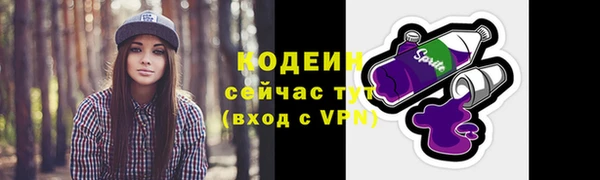 прущие грибы Переславль-Залесский