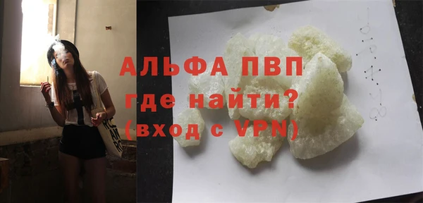 прущие грибы Переславль-Залесский