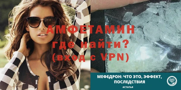 прущие грибы Переславль-Залесский