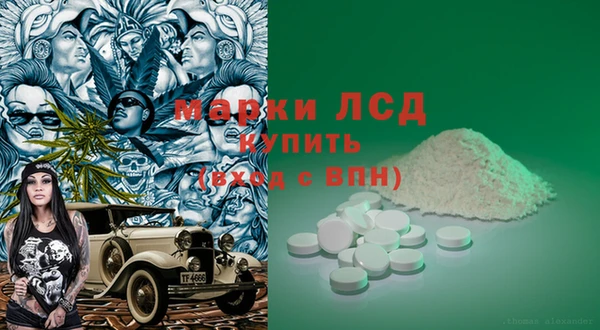 прущие грибы Переславль-Залесский