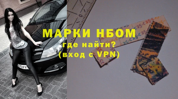 молекула духа Пересвет