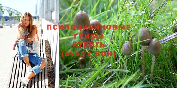 ECSTASY Пестово