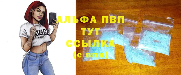 молекула духа Пересвет