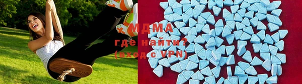 прущие грибы Переславль-Залесский