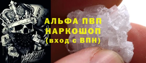 молекула духа Пересвет